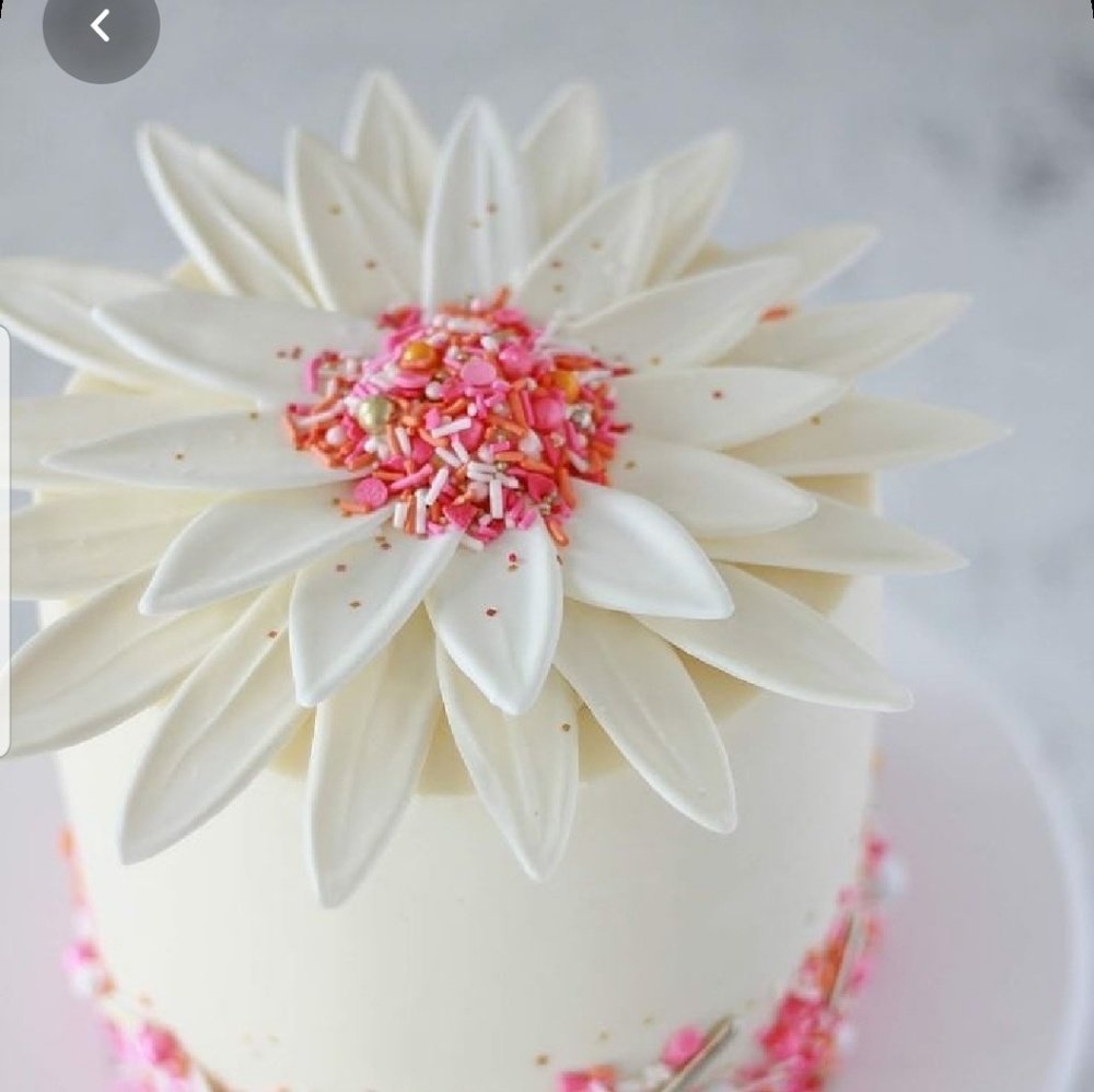 Meet your Posher, Anne